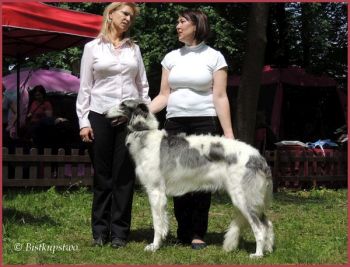 Křídlovka Bistkupstwo